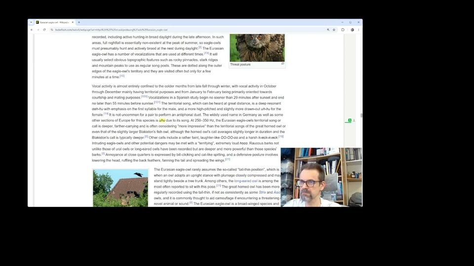 The video: turning a Wikipedia article into flashcards